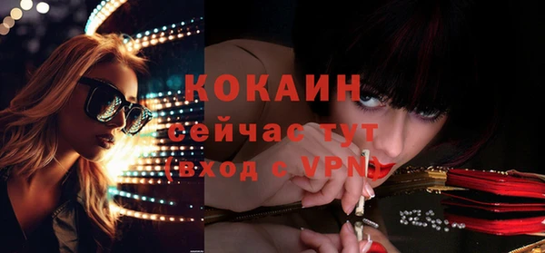 apvp Кукмор