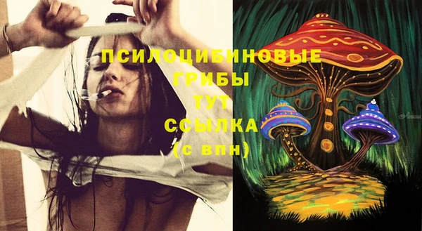 крисы Краснослободск