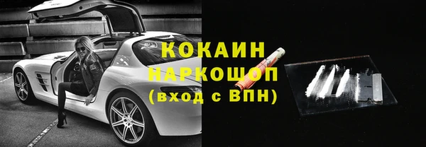 сатива Куйбышев