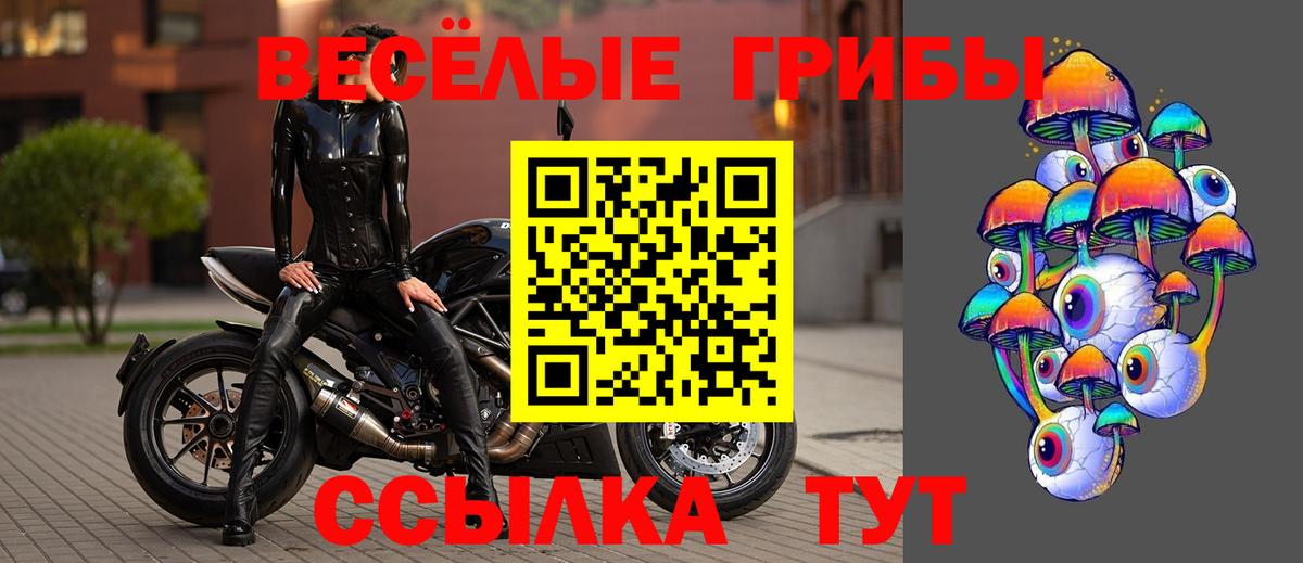 Псилоцибиновые грибы Cubensis  Псилоцибиновые грибы Psilocybe  магазин    Вход с VPN  Лесной 